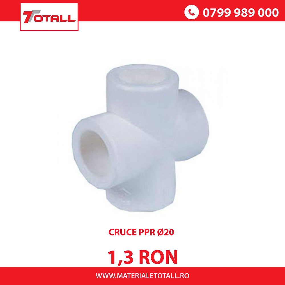 Cruce PPR Ø20