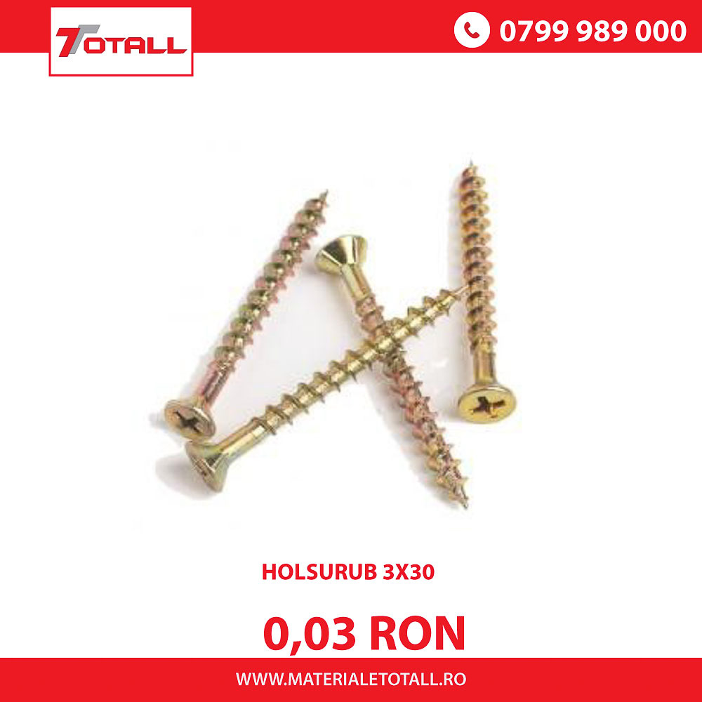 Holsurub pt lemn 3X30mm