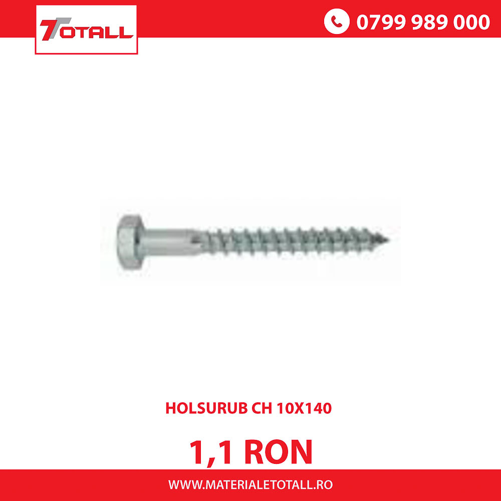 Holsurub CH 10X140mm