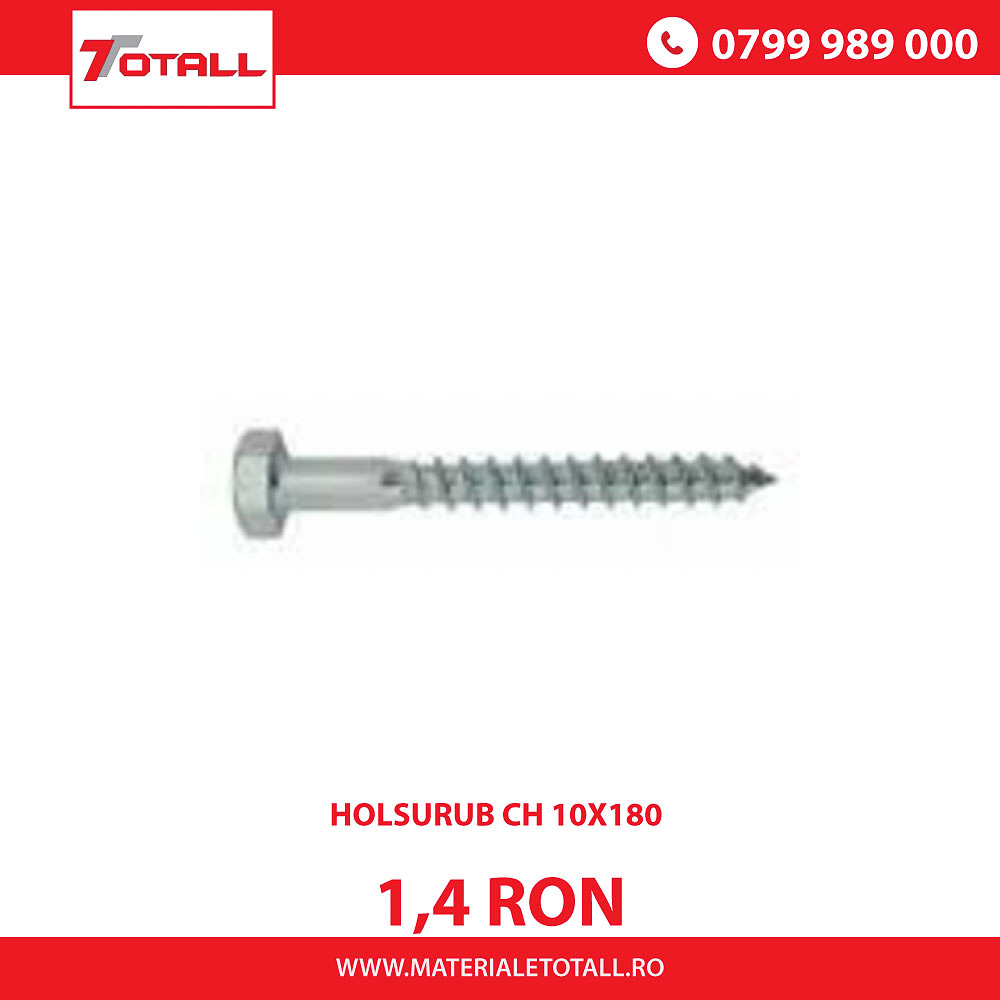 Holsurub CH 10X180mm